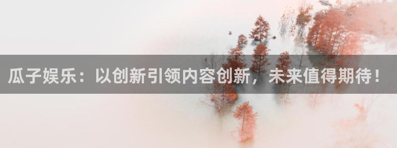 7790必发集团：瓜子娱乐：以创新引领内容创新，未来值得期待！