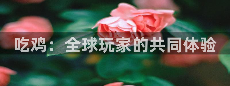 必发集团下载：吃鸡：全球玩家的共同体验