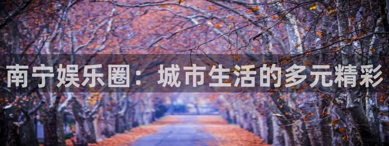 必发集团app下载：南宁娱乐圈：城市生活的多元精彩