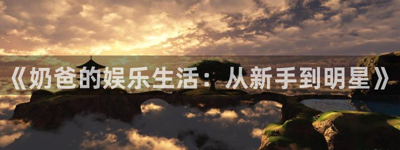 必发集团网站网址：《奶爸的娱乐生活：从新手到明星》