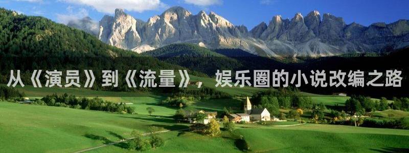 必发集团app下载安装手机版：从《演员》到《流量》，娱乐圈的小说改编之路