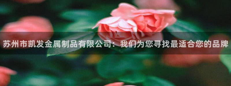 必发集团app下载安装手机版：苏州市凯发金属制品有限公司：我们为您寻找最适合您的品牌