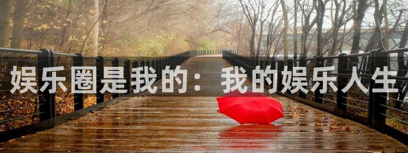 必发集团app下载安装：娱乐圈是我的：我的娱乐人生