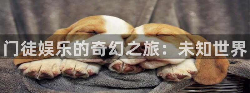 必发集团网址：门徒娱乐的奇幻之旅：未知世界