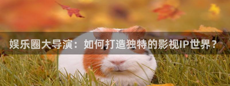 必发集团app下载安装：娱乐圈大导演：如何打造独特的影视IP世界？