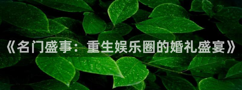 必发集团网站：《名门盛事：重生娱乐圈的婚礼盛宴》