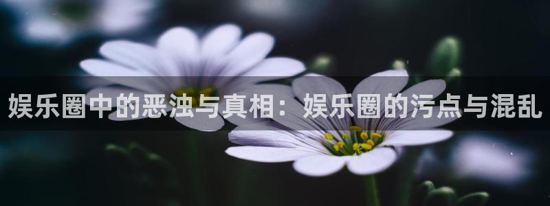 7790cnm必发集团app下载：娱乐圈中的恶浊与真相：娱乐圈的污点与混乱