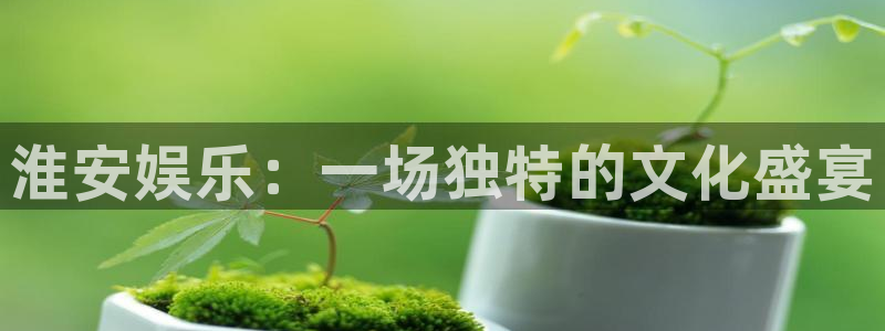 6690必发集团：淮安娱乐：一场独特的文化盛宴