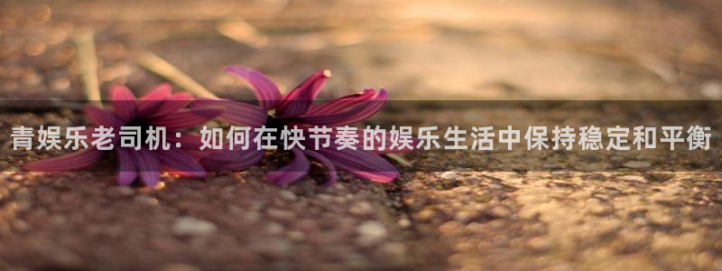 必发集团官网：青娱乐老司机：如何在快节奏的娱乐生活中保持稳定和平衡