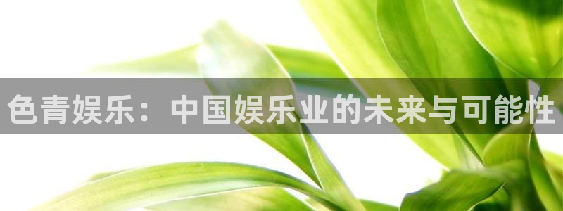 必发集团网站：色青娱乐：中国娱乐业的未来与可能性