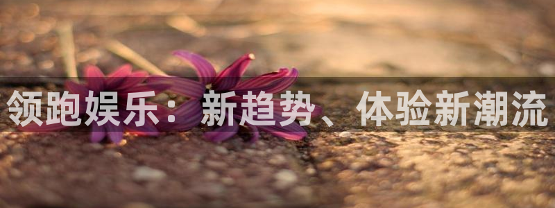 7790cnm必发集团官网：领跑娱乐：新趋势、体验新潮流