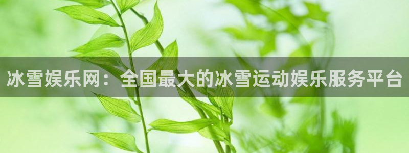 7790必发集团登录入口：冰雪娱乐网：全国最大的冰雪运动娱乐服务平台