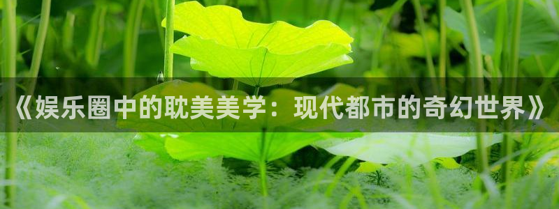 7790必发集团官网入口：《娱乐圈中的耽美美学：现代都市的奇幻世界》