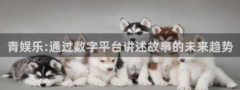 7790必发集团网址：青娱乐:通过数字平台讲述故事的未来趋势