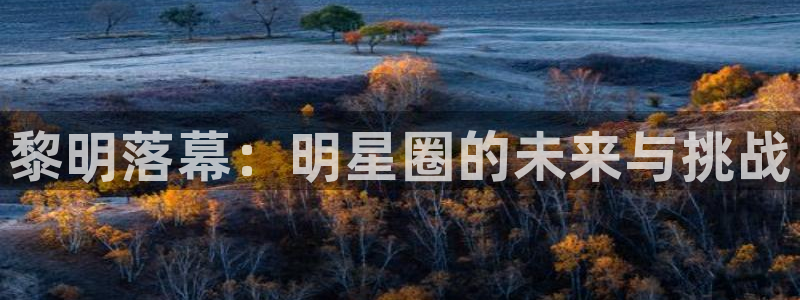 7790必发集团app下载安装：黎明落幕：明星圈的未来与挑战