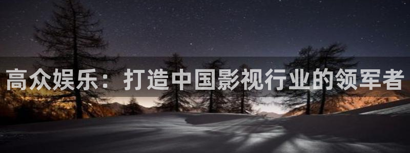 必发7790电子集团,必发集团欢迎光临：高众娱乐：打造中国影视行业的领军者