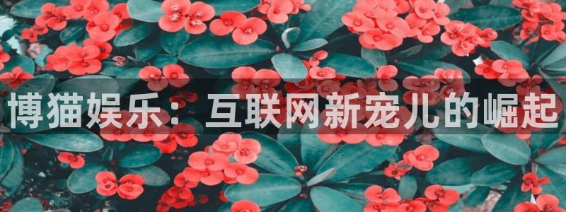 7790必发集团app官网最新版本：博猫娱乐：互联网新宠儿的崛起