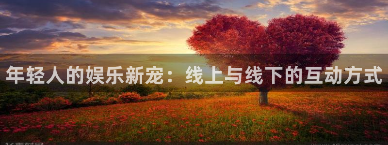 6690必发集团app：年轻人的娱乐新宠：线上与线下的互动方式