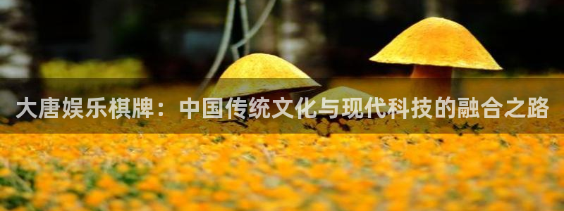 7790必发集团客服：大唐娱乐棋牌：中国传统文化与现代科技的融合之路